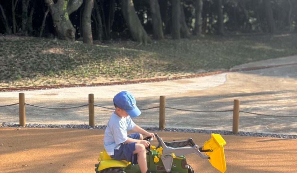We Followed a Cat Outside — What We Found at the Dolcori Forest Trail 4