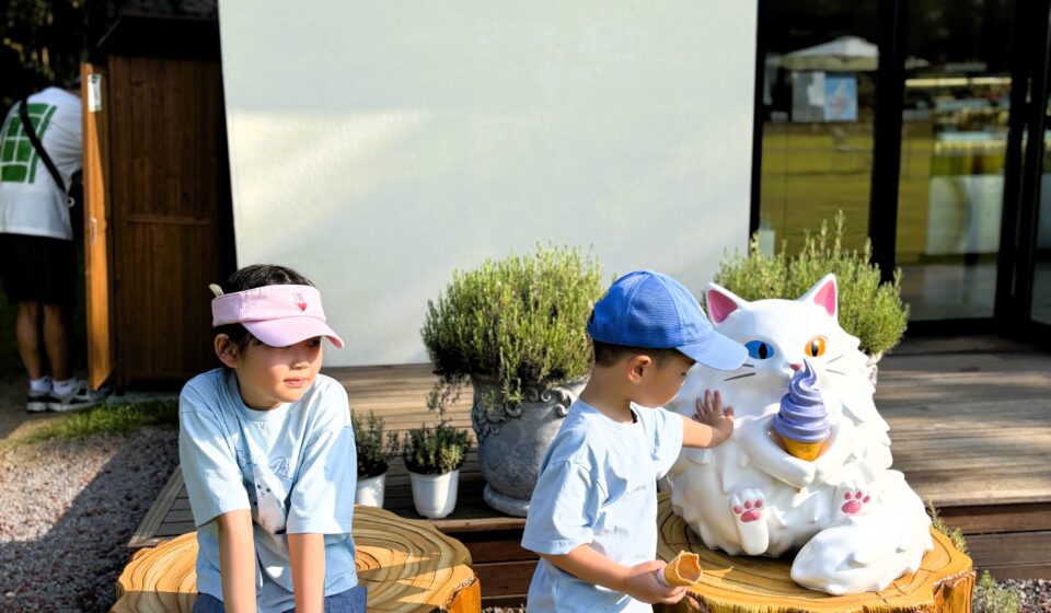 We Followed a Cat Outside — What We Found at the Dolcori Forest Trail 7