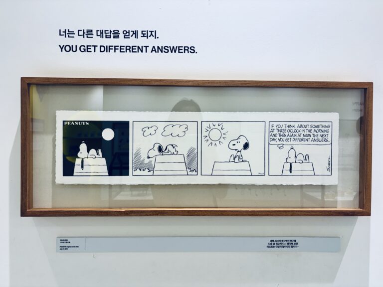 snoopy jeju (10) 0