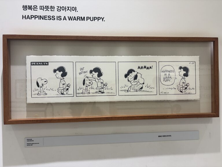 snoopy jeju (11) 0