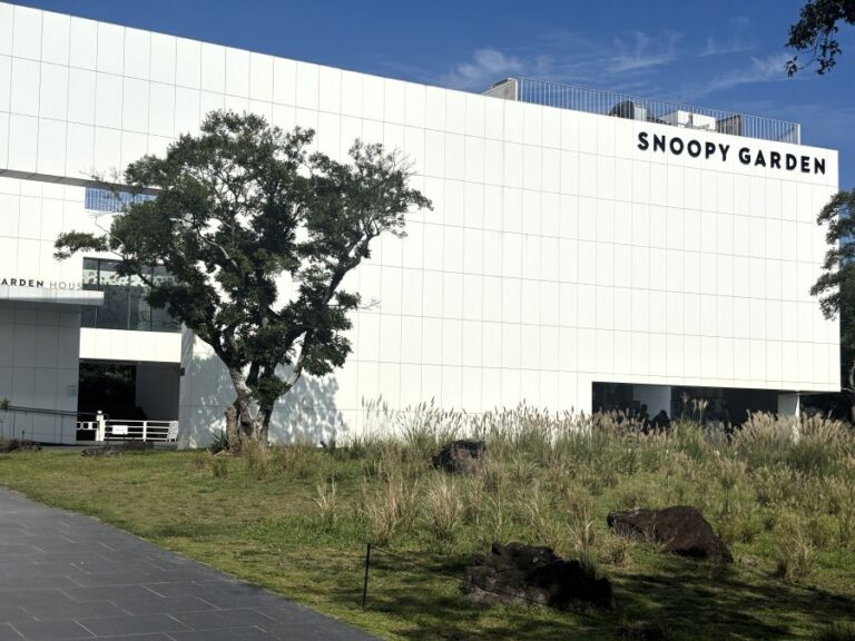 snoopy jeju (22) 0