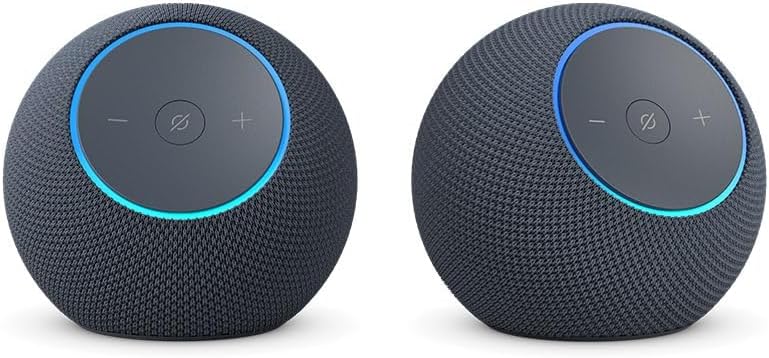 Echo-Dot-Max 0